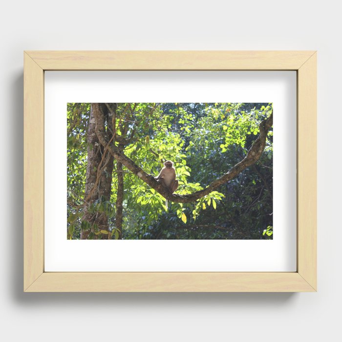 Sitting monkey Recessed Framed Print