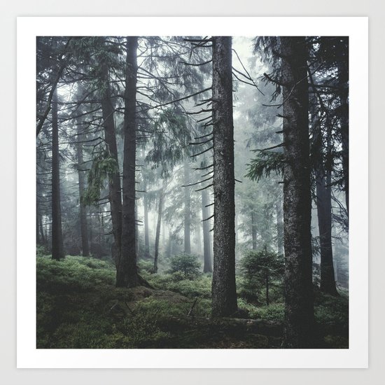 Path Vibes Art Print