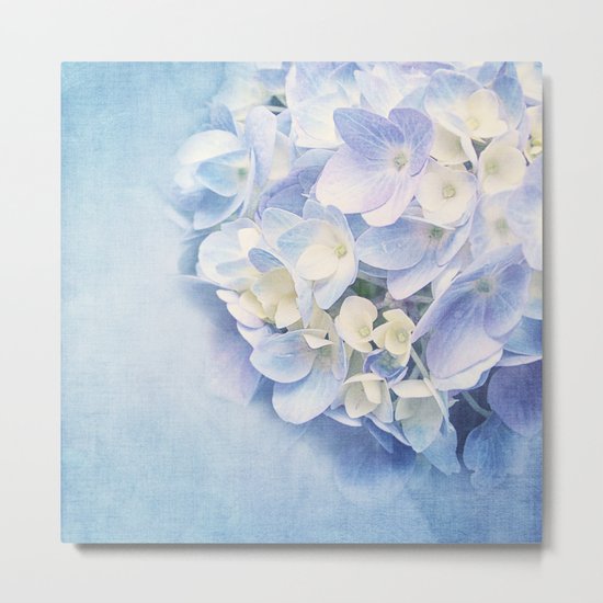 BLUE HYDRANGEA Metal Print