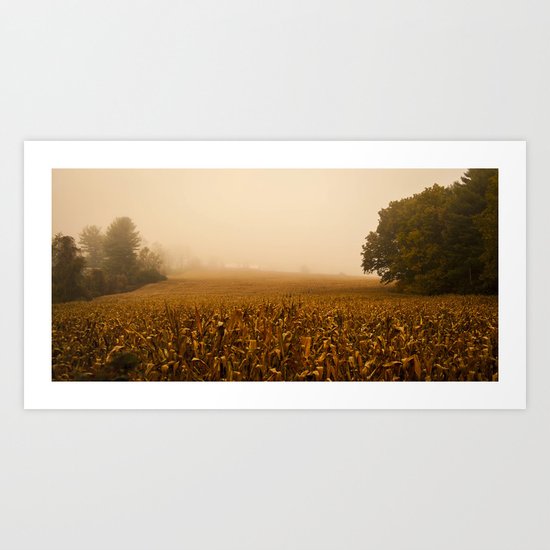 Fog In The Corn Field (A New England Morning) Art Print