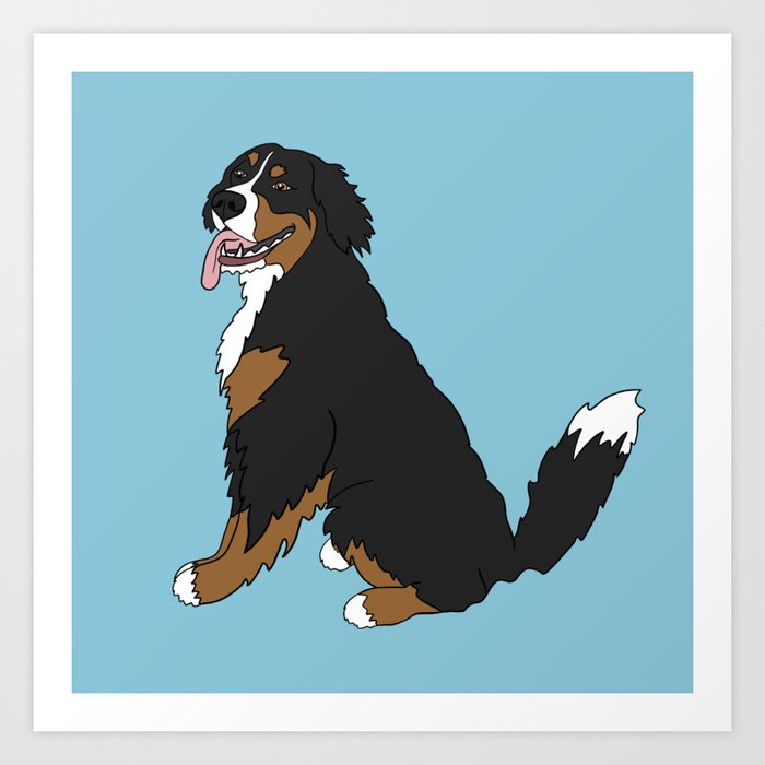Bernese Mountain Dog Sitting Art Print