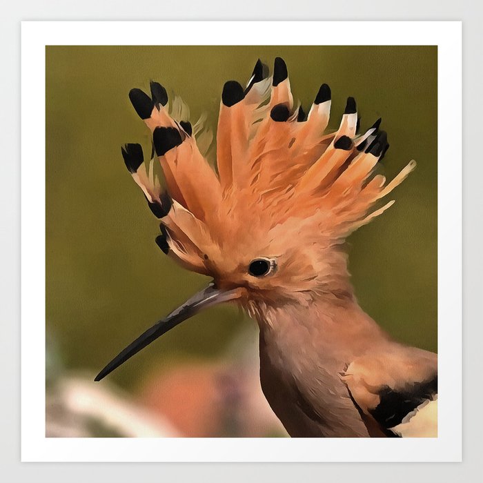 Beautiful Hoopoe Bird With Crown Of Feathers Art Print