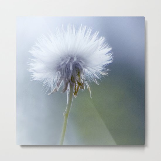 light catcher Metal Print