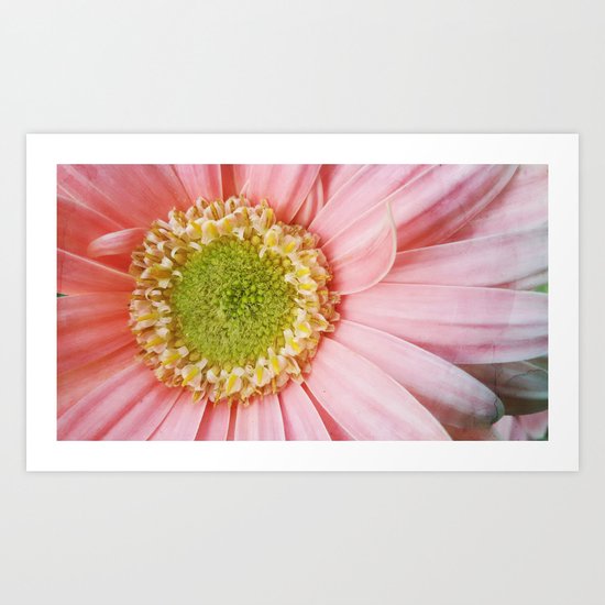 Flower #4 Art Print