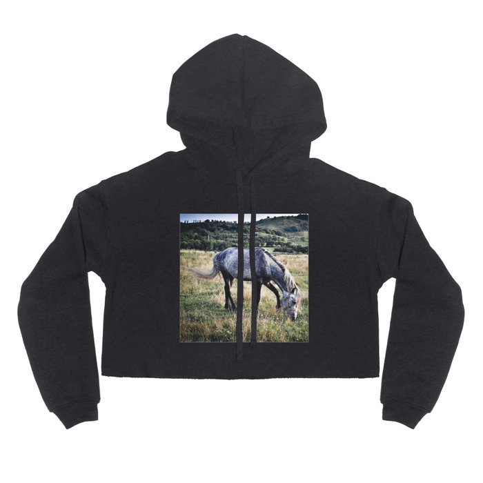 Grey arabian purebred horse pasture in the countryside Hoody