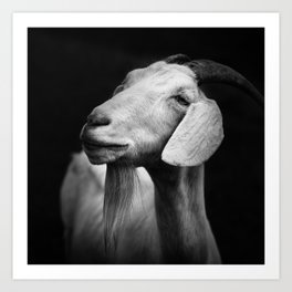 Billy Goat Adam Art Print