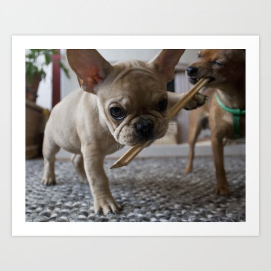 Play Time Art Print