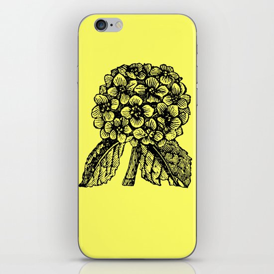 Yellow Hydrangea iPhone & iPod Skin