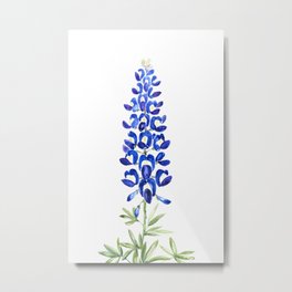 Texas bluebonnet in watercolor Metal Print