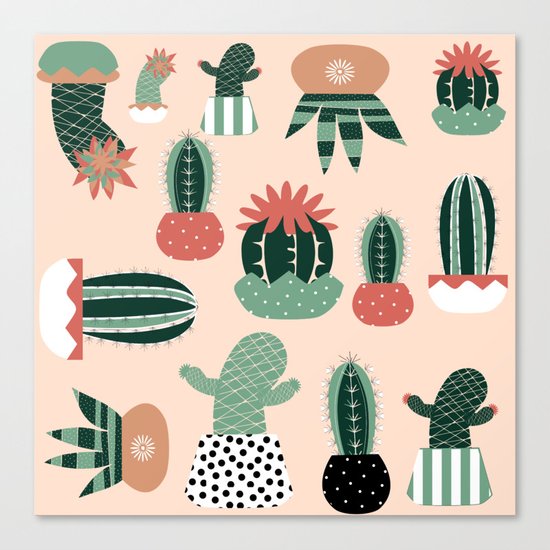 Succulents Canvas Print
