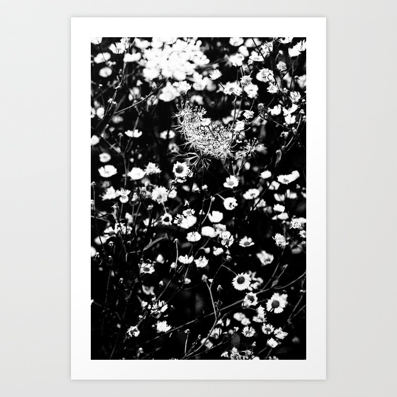 Black And White Wild Flowers Pastel Sketch Effect Nature Art Print