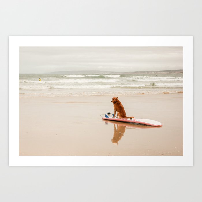 Dog waiting on the beach Kunstdrucke