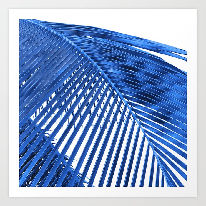 Blue Palm Leaf Art Print