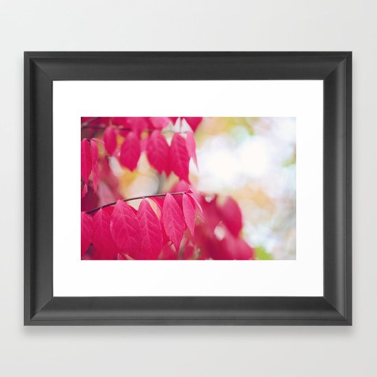 Autumn Splendor Framed Art Print
