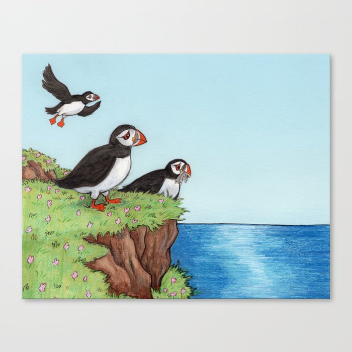 Puffins Canvas Print