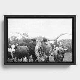 Texas Longhorn and Friends Framed Canvas