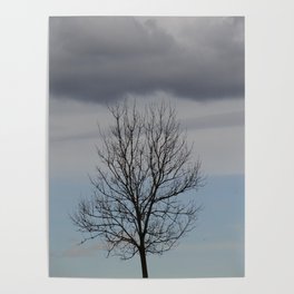 Bald tree carrying a dark cloud Poster