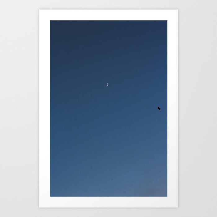moon and seagull Art Print
