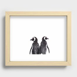 Cute Magellanic penguin couple white background | Chile wildlife photography Recessed Framed Print