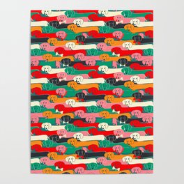 dachshund pattern- happy dogs Poster