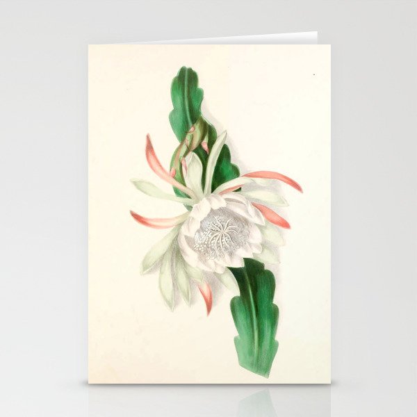  Cactus by Clarissa Munger Badger, 1866 (benefitting The Nature Conservancy) Stationery Cards