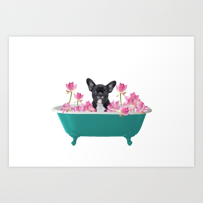 Frenchie in bathtub clearance