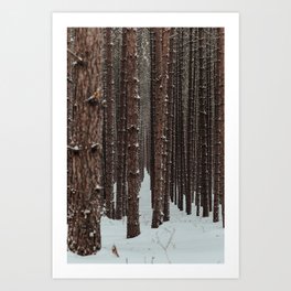 Michigan Winter Forest Art Print