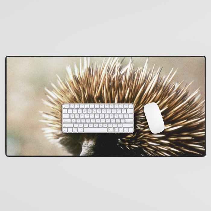 Australia Photography - Hedgehog Sitting On A Log Desk Mat