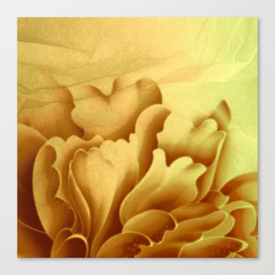 peach veiled flower Canvas Print