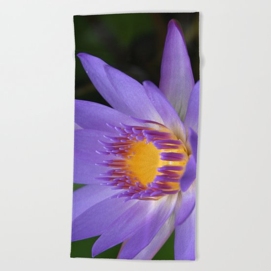 My Soul Dressed in Silence Beach Towel