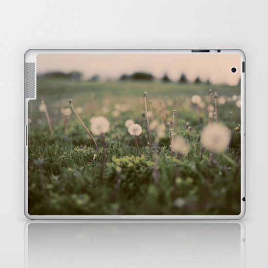 Forgotten Wishes Laptop & iPad Skin
