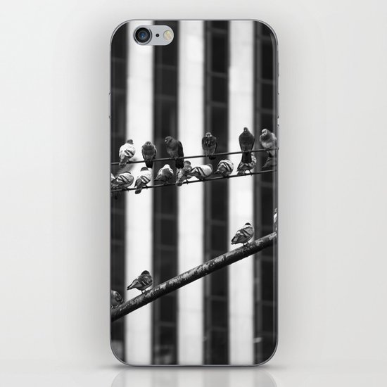 Pigeon Rows iPhone & iPod Skin