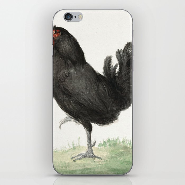 Standing black chicken (1775–1833) iPhone Skin