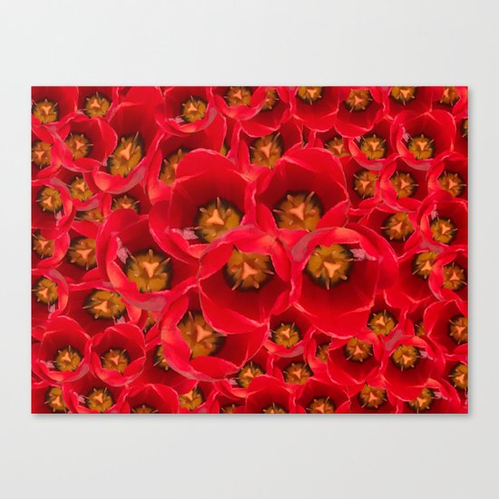Venetian Red Tulips Canvas Print