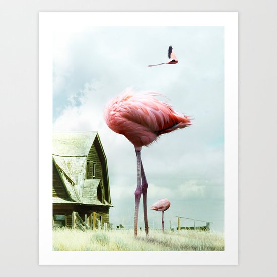 Headless Flamingos Art Print