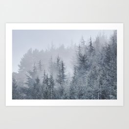 Early moorning... Into the woods Art Print