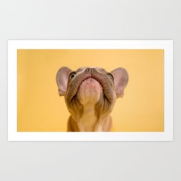 french bulldog dog like mammal pet costume yellow Art Print