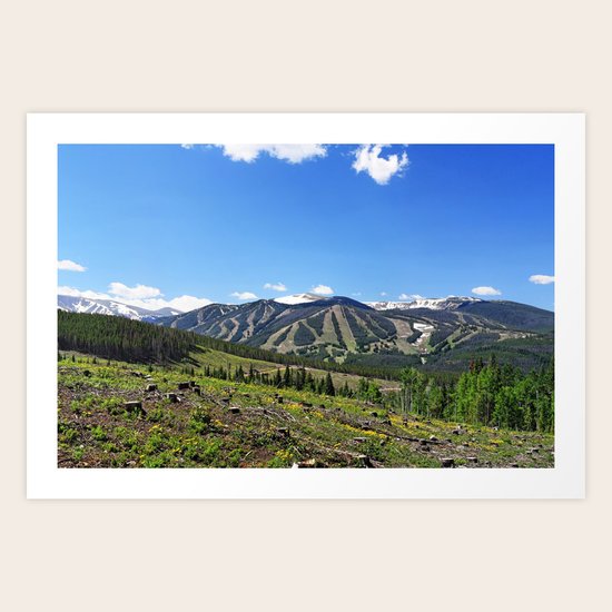 Winter Park Art Print