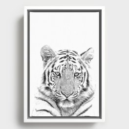 Black and white tiger Framed Canvas