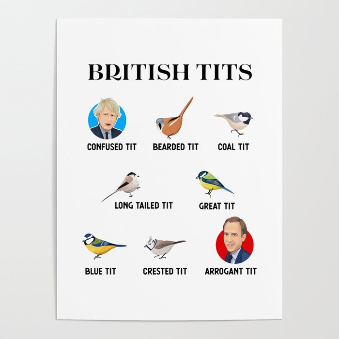 British Bird Stickers