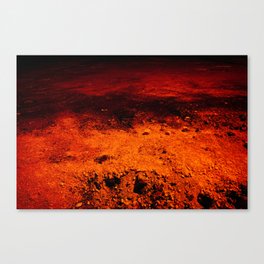 Step on the Red Planet Canvas Print
