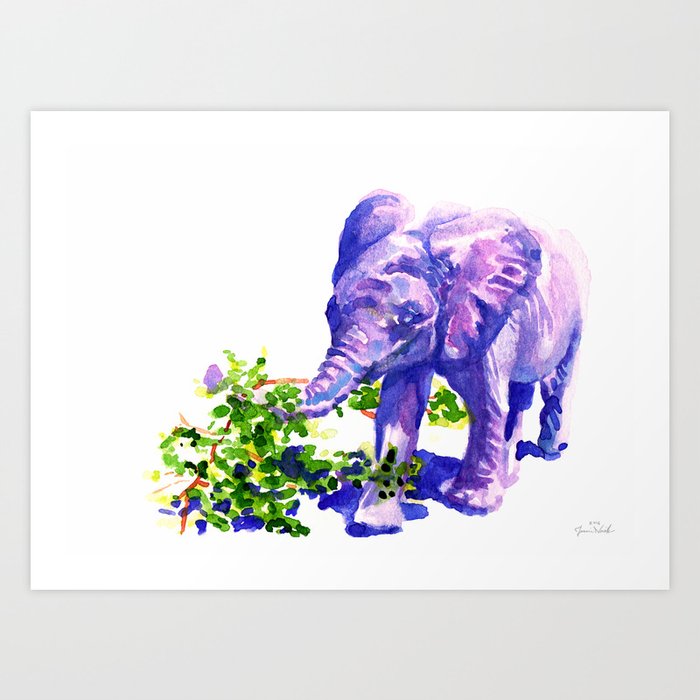 Big Boy Purple Elephant Painting Of Baby Elephant Living At David