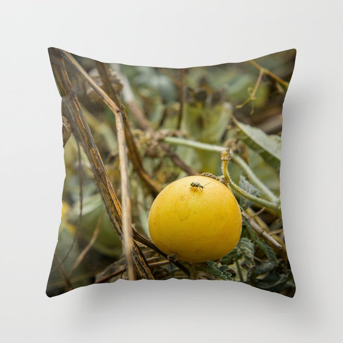 Insect on Yellow Fruit Throw Pillow