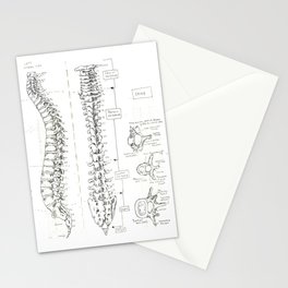 So This Is What's In There Stationery Cards