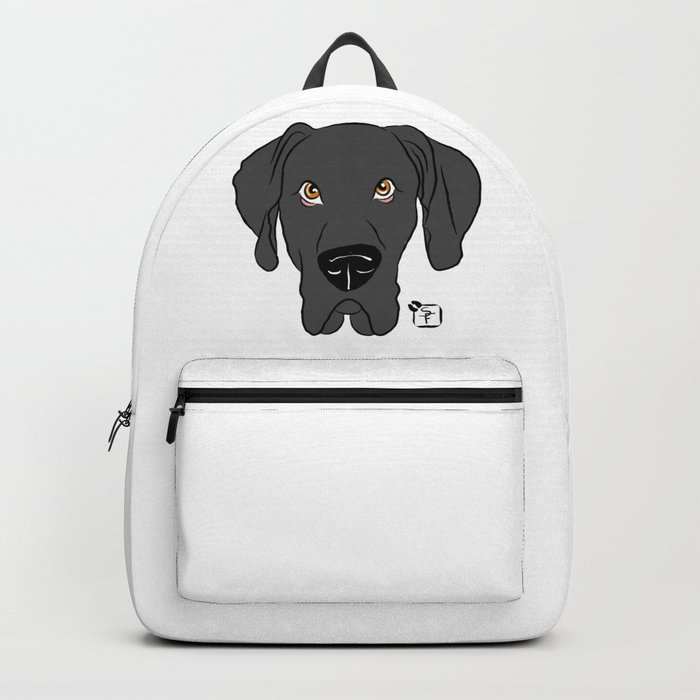 Great cheap dane backpack