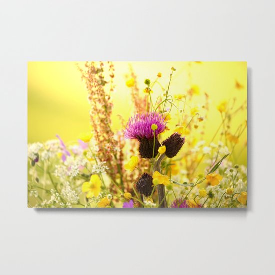 Colorful Wildflowers Metal Print