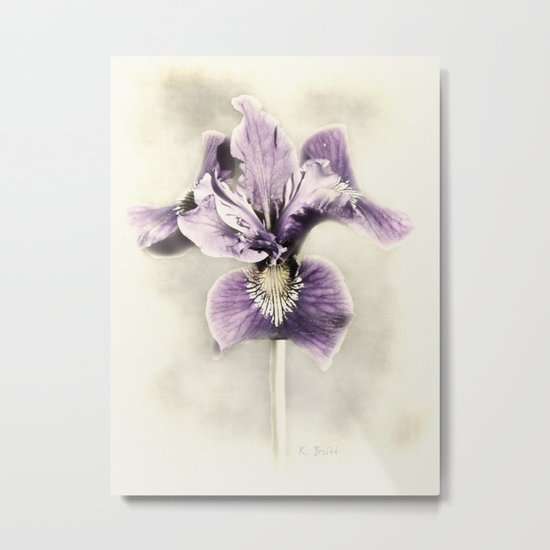Opal Iris Metal Print