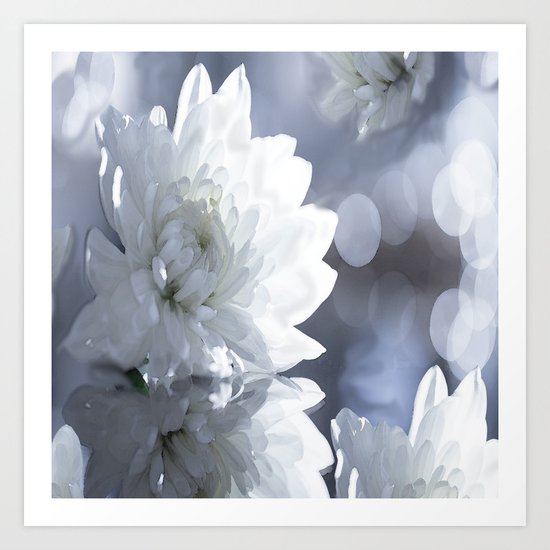 White flower with bokeh on a grey background included wonderful light Art Print