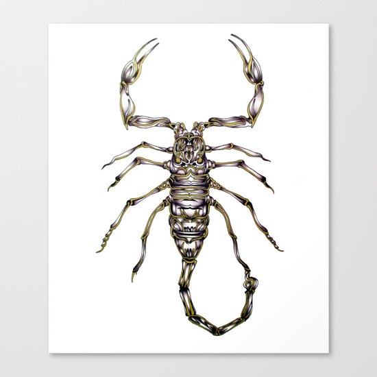 Scorpion's Kiss Canvas Print
