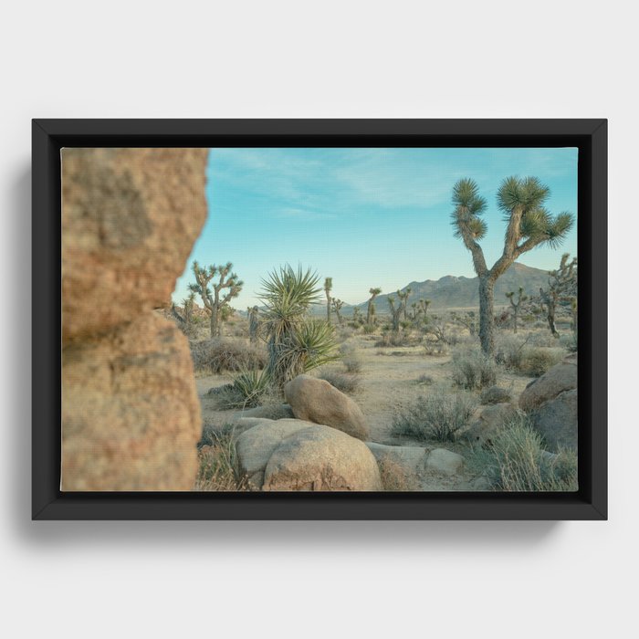 Framed Canvas